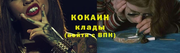 спиды Гусев