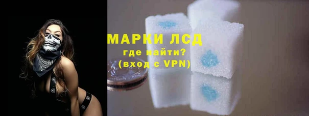 спиды Гусев