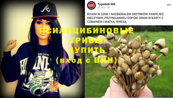 кокс Гусиноозёрск