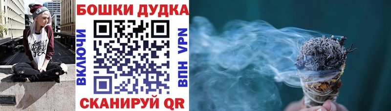 Каннабис OG Kush Шимановск